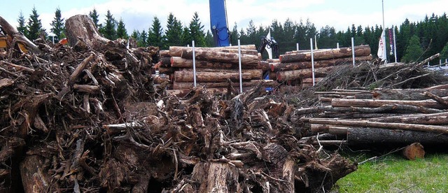 Mit  Holz aus dem eigenen Wald gutes G...l  von der heimischen Forstwirtschaft.  | Foto: Privat