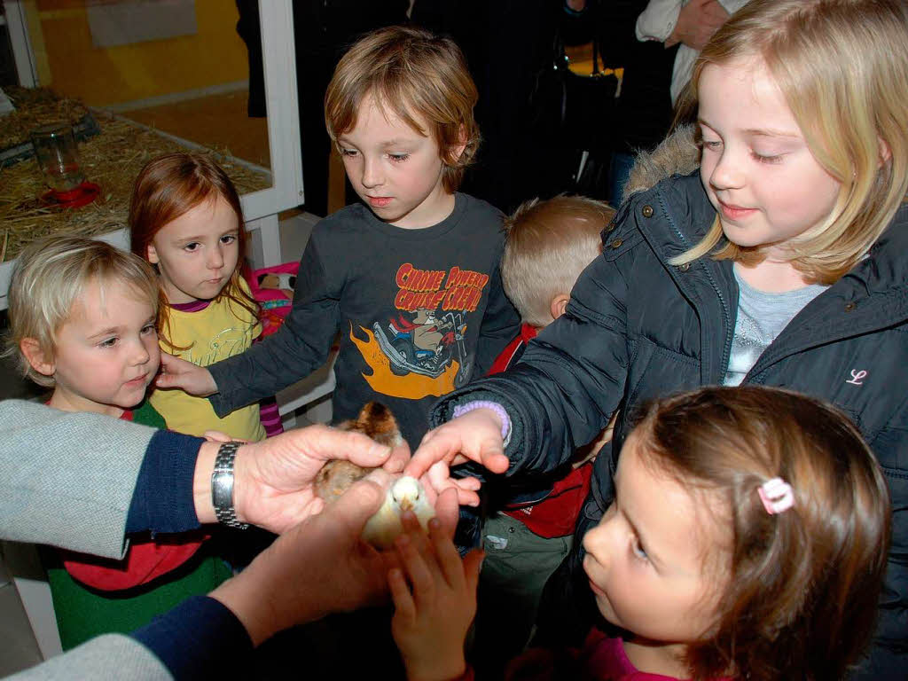 Doch bis die Kinder ihre Lieblinge streicheln knnen, ist es ein langer Weg...