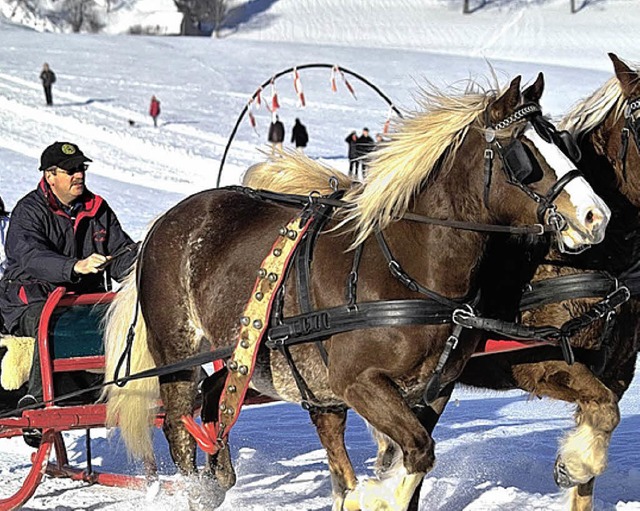 Mit wehenden Mhnen durch den Schnee: ...chickt mssen Pferde und Lenker sein.   | Foto: BZ