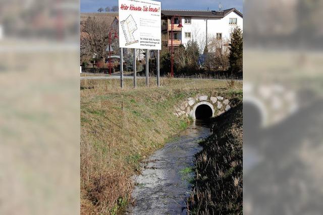 Gemeinschaftsaktion am Riedmattenbach