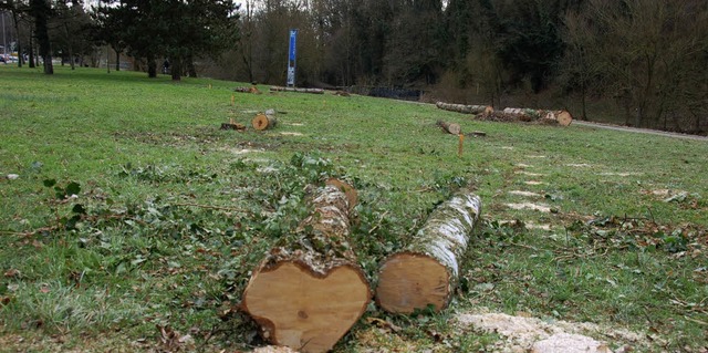 Gefllt: Baumfllungen an der Wiese in...esestrand&#8220; Platz gewonnen wird.   | Foto: Trenz