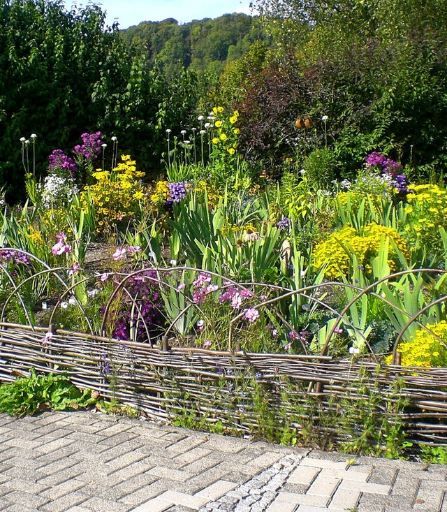 Ein Blick in den Irisgarten des Organisators Fritz Lehmann.   | Foto: BZ