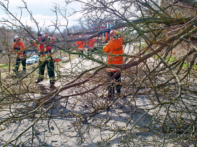 Sturmtief: Ein umgestrzter Baum block...rae zwischen Kndringen und Heimbach.  | Foto: Aribert Rssel