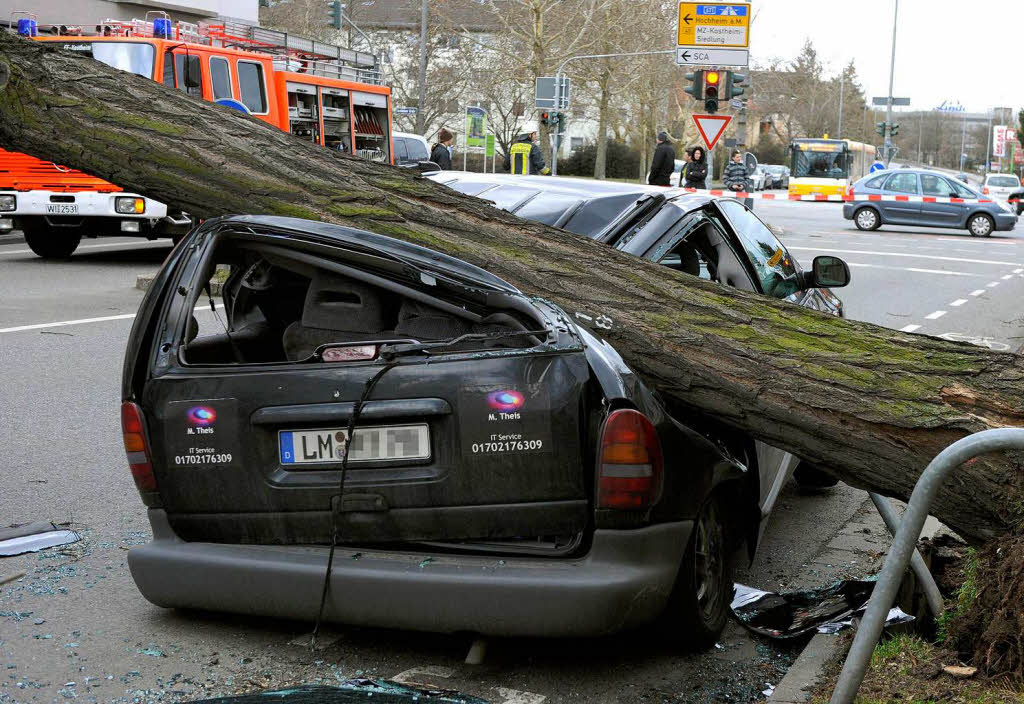 In Mainz zerstrt ein Baum ein parkendes Auto.