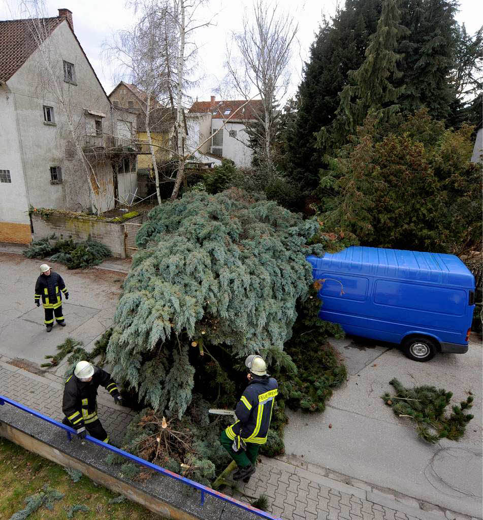 In Mainz fllt  ein Baum auf einen Kleintransporter.