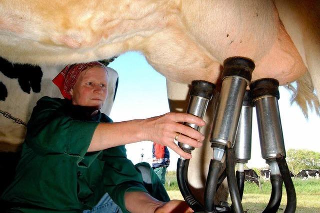 Die Ortenauer Landfrauen haben 