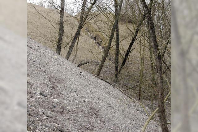 Landratsamt: Lagerung ist illegal