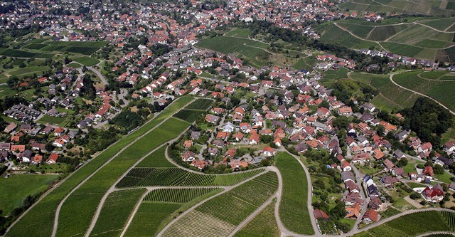 Die Vorbergzone ist eine so hochwertig...lte, empfehlen die Landschaftsplaner.   | Foto: Heck