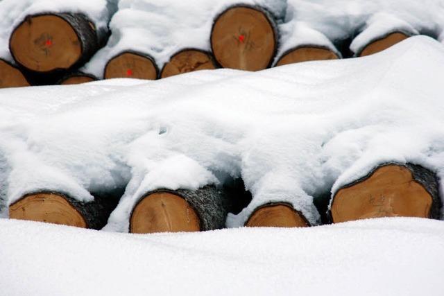 Wald soll 166 700 Euro einbringen