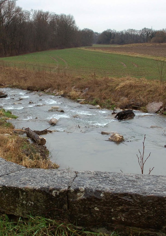 <ppp> oder etwa ein Bach naturnah ausgebaut werden. </ppp>  | Foto: Langelott