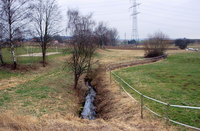 Zwischen Sportplatz und Bach soll west...rch ein kleiner See angelegt werden.    | Foto: Markus Maier