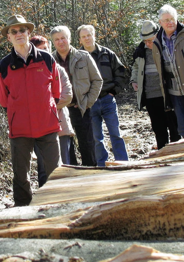 Polder ber Polder: Holzversteigerung in Hgelberg.   | Foto: E. Dietrich