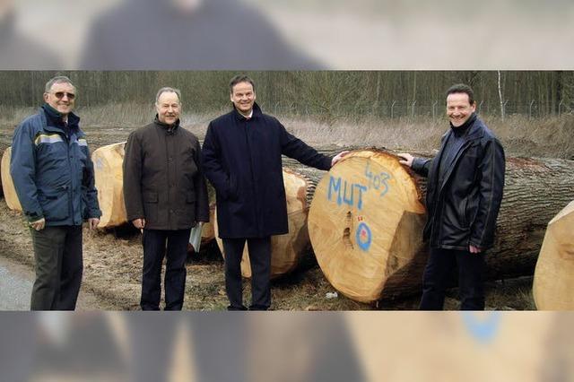 Gutes Holz ist viel wert