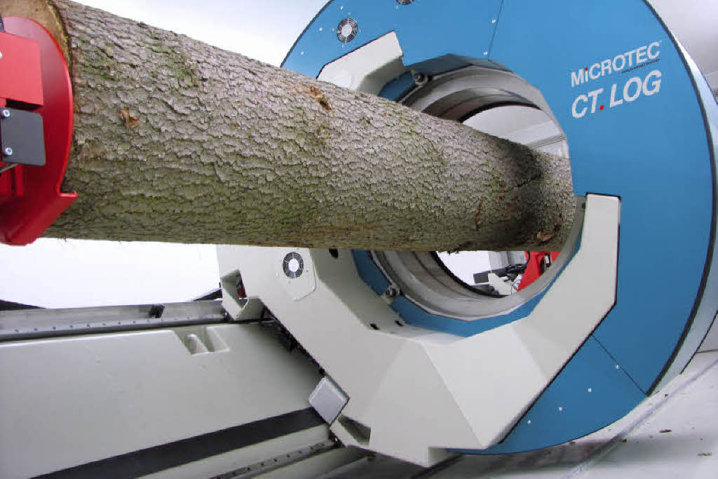 Erst sehen, dann sägen Bildung & Wissen Badische Zeitung