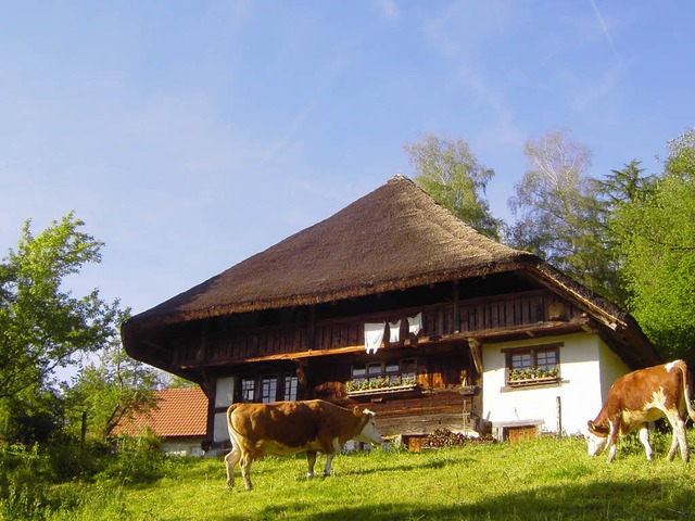 Das Alte erhalten, ohne es zu kopieren: Schwarzwaldhaus  | Foto: Promo