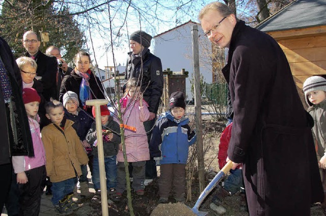 Bundestagsabgeordneter Drflinger pflanzt Apfelbaum in Gundelfingen  | Foto: Andrea Steinhart