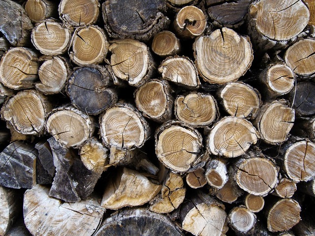 Holz ist gefragt &#8211; zur Freude der Ortenauer Waldbauern.   | Foto: H.  Rderer
