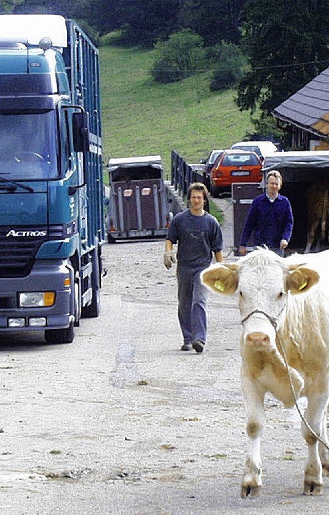 Der Weg, der an der Jungviehweide vorb...trae werden, schlagen Landwirte vor.   | Foto: Christa Maier