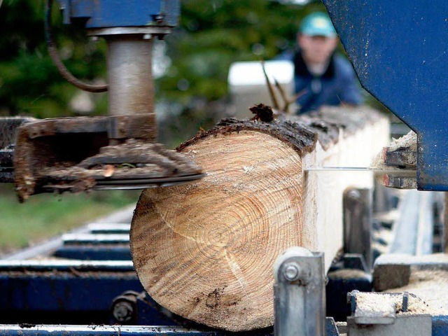 Holz lsst sich derzeit gut vermarkten.  | Foto: ddp