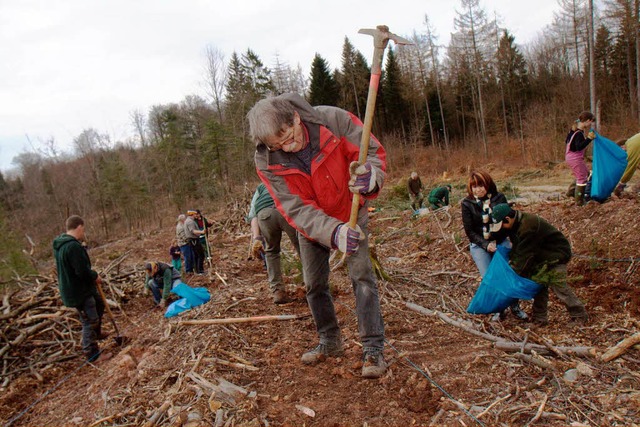 Drei Dutzend freiwillige Helfer packte... Samstag im Herbolzheimer Wald mit an.  | Foto: Patrik Mller