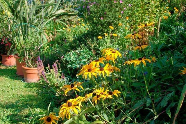 Umwelttage entdecken Gärten neu