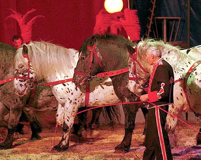 Selbstverstndlich gehrt auch eine Ponydressur zum Programm des Zirkus Kaiser.   | Foto: Schiller