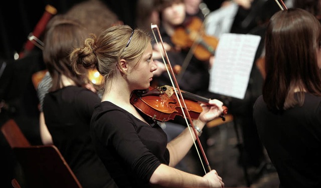 Das Kammerorchester der Musikschule beeindruckte mit Dvorak.   | Foto: Bertold Baumeister