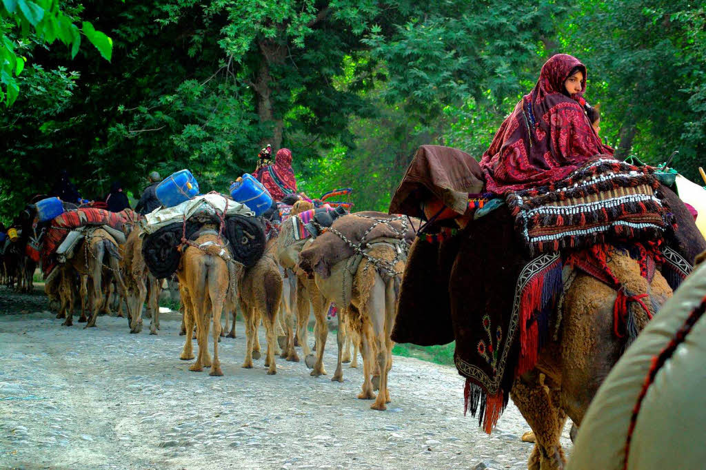 In Afghanistan gibt es noch immer Nomaden, die von den Einheimischen Kutschis genannt werden, bersetzt „Umziehende“