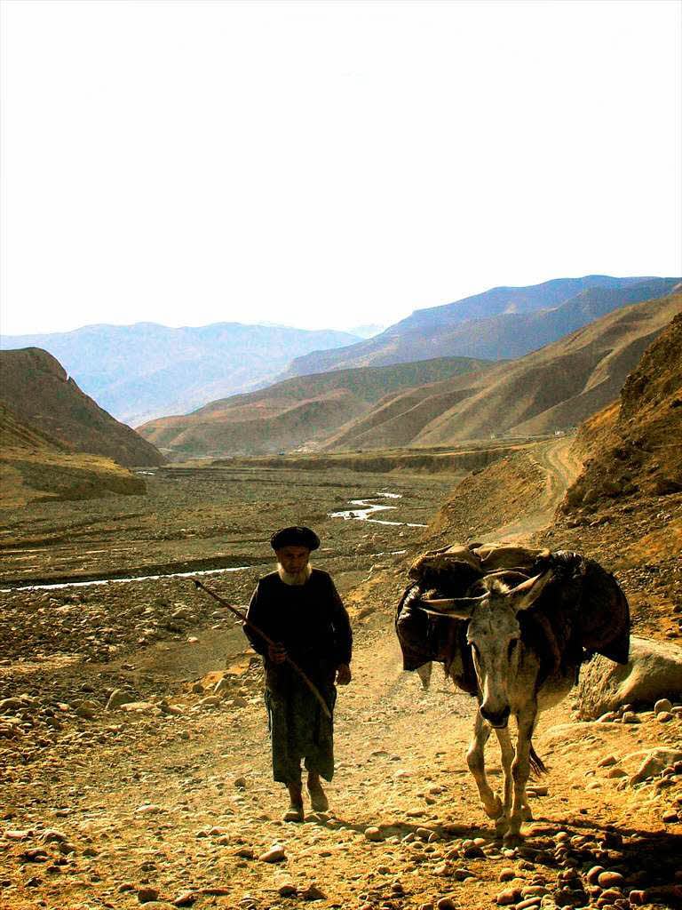 Auf dem Land gehrt der Esel noch zu einem gngigen Transportmittel. (Nord-Ost Afghanistan in der Nhe von Taloqan)