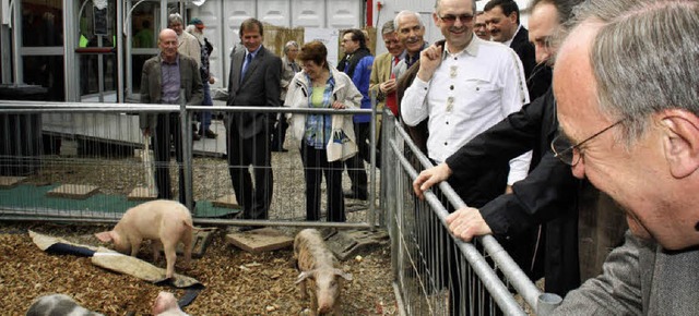 Saukomisch fanden die Rundgangteilnehmer dieses Gehege.  | Foto: igi