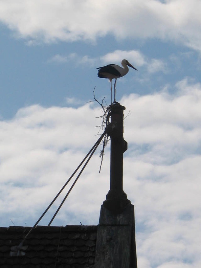 Er lsst nicht locker: Storch beim Nes...uf dem Kruzifix ber dem Kirchportal.   | Foto: G. rinklin
