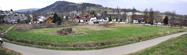 Eine der beiden Sulzburger Unterschrif...ellbergs umfasst einen halben Hektar.   | Foto: Volker Mnch