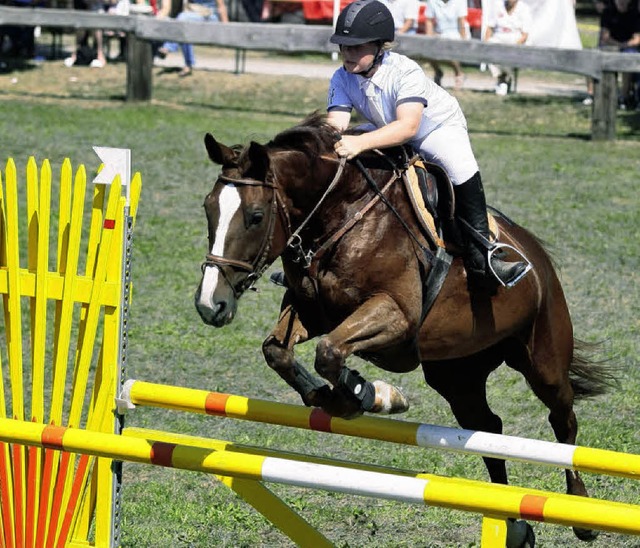 Auch sportlich hatten Lahrer Reiter einiges  zu bieten.    | Foto: Peter Aukthun