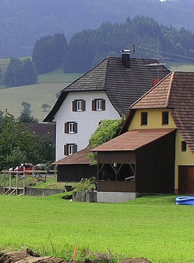 Mehr als zwei Millionen Euro erhlt der Ortenaukreis fr den lndlichen Raum.   | Foto: bz