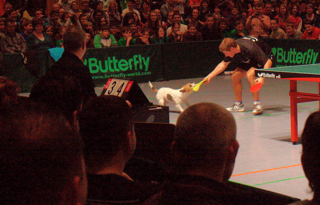 Bastian Steger im Duell mit Timo Bolls Hund Carry.