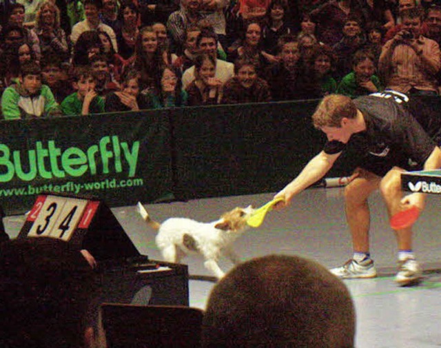 Bastian Steger im Duell mit Timo Bolls Hund Carrie.  | Foto: Patrik Mller