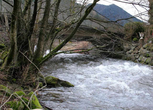 Die Wilde Gutach an der Stegenbrcke i...n Tiefbrunnen mit Wasserschutzgebiet.   | Foto: Karin Heiss