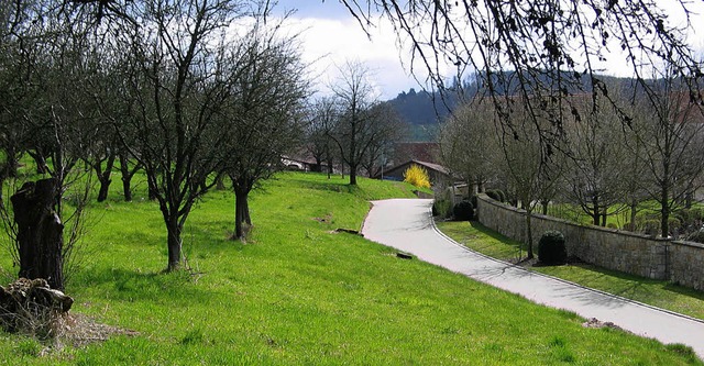 Streuobstwiese oder Baugebiet? In Schl...auung gesucht, vor allem fr Familien.  | Foto: Jutta Schtz