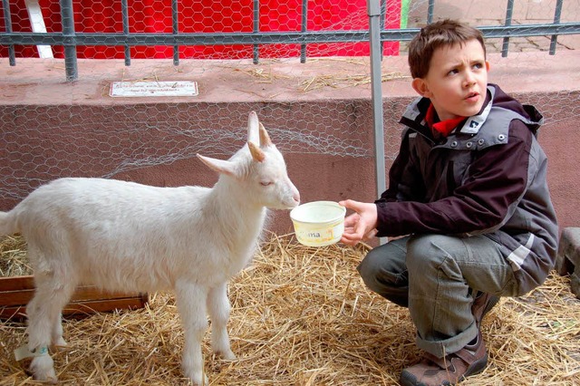 Mach ich&#8217;s auch richtig?  | Foto: Sylvia-Karina Jahn