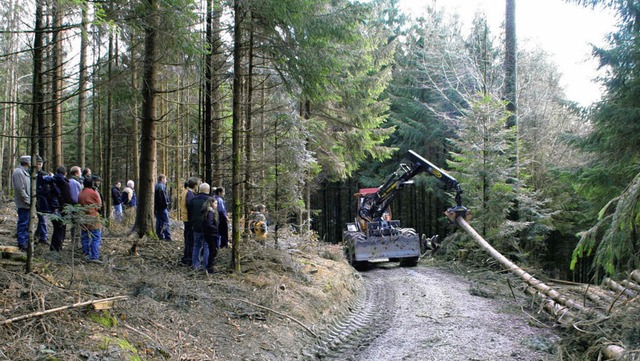 Schnelles Entasten und  Stapeln bekame...r des Waldinfotages in Wies zu sehen.   | Foto: Hans-Jrgen Hege