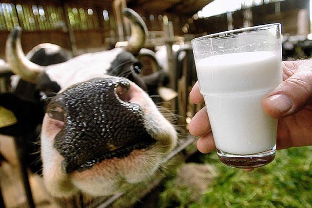 Bauer darf Milch nur am Stall verkaufen
