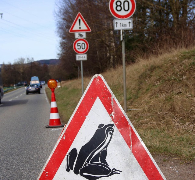 Im kommenden Jahr muss der Krtenzaun ... Krtenwanderung  abgeschlossen ist.    | Foto: Boris Burkhardt