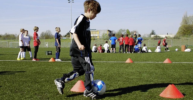 Dribbeln wie die Profis: Beim Fchsle-...chwuchskicker zeigen, was sie knnen.   | Foto: G. Siefke