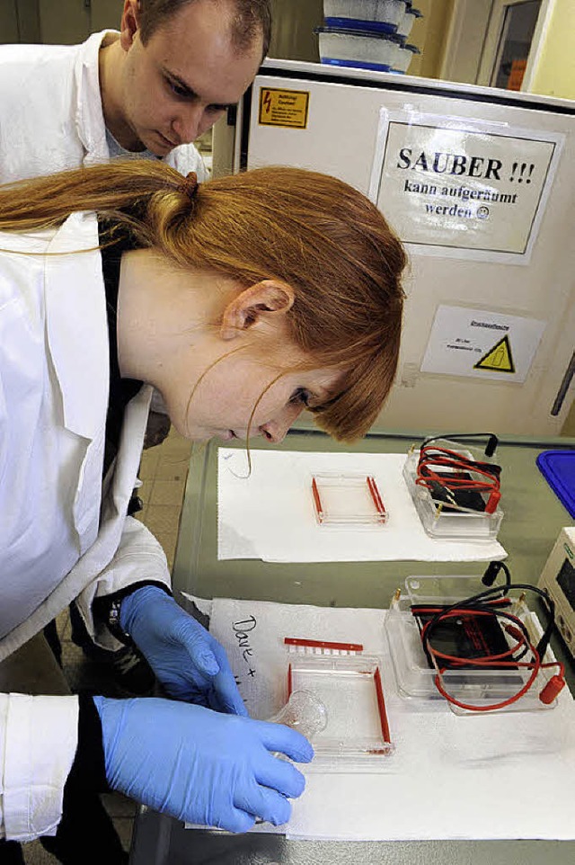 Zwei Studenten bereiten einen DNA-Test vor.   | Foto: DPA