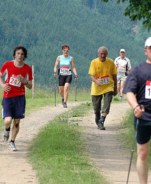 Panoramalauf 2008  | Foto: Archivbild HD