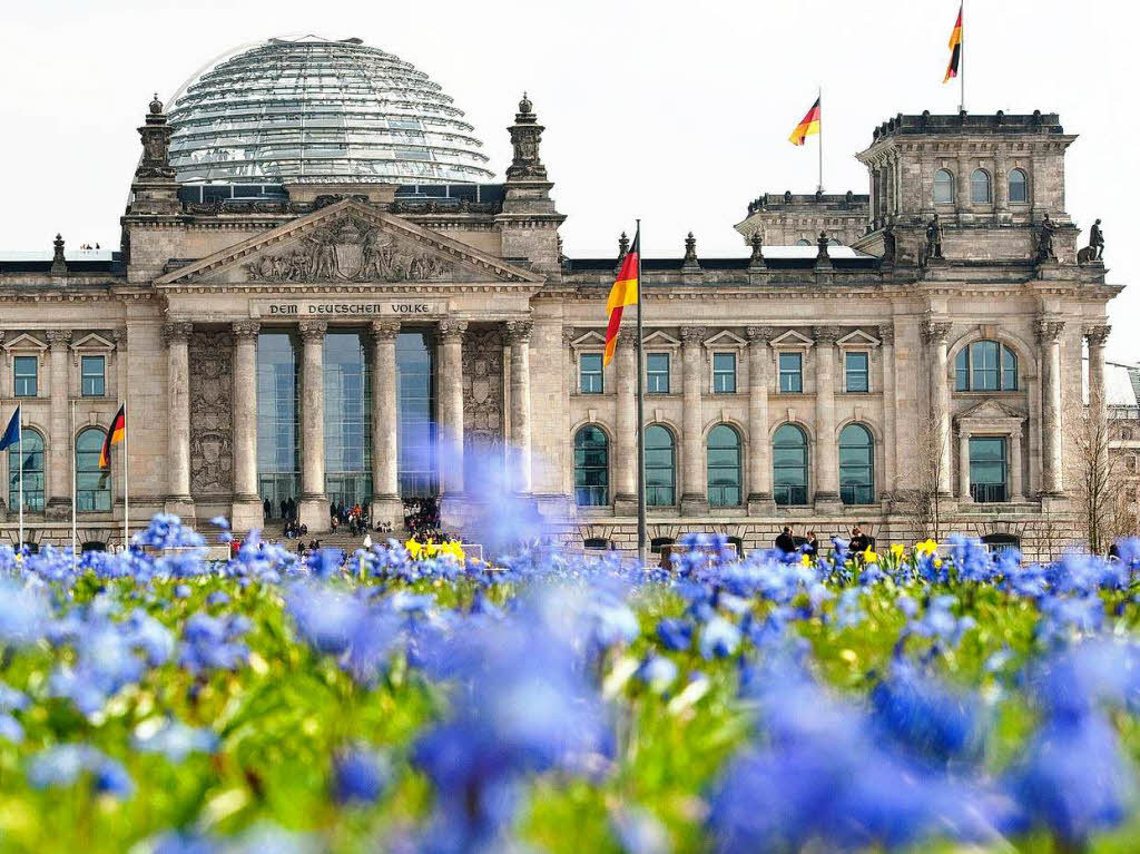 Bltenmeer vor dem Reichstag