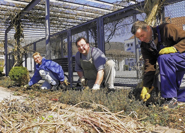 Stadtgrtner Daniela Hfflin, Paul Gra...it immer wieder in Hundekot greifen.    | Foto: Herbst