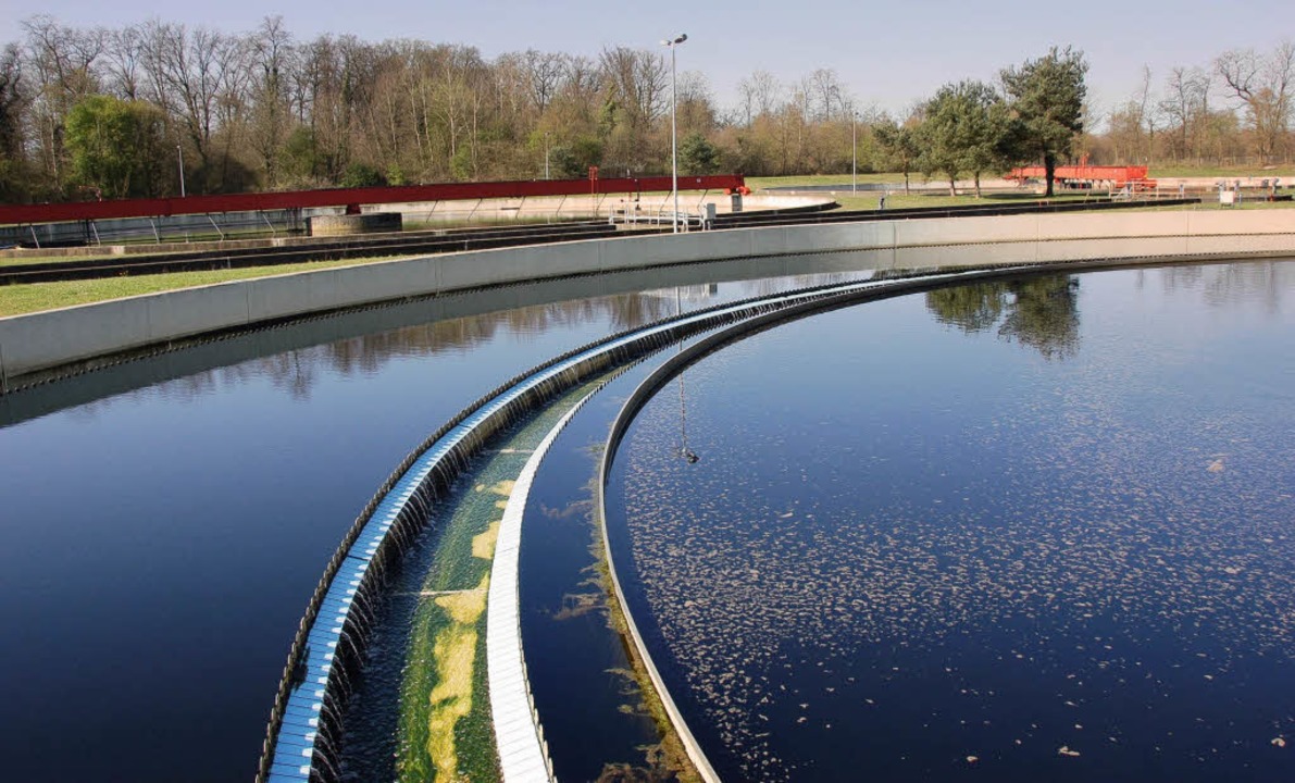 Die Wasser-Wäscherei - Neues für Kinder - Badische Zeitung