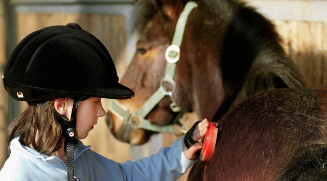 Auf dem Reiterhof lernt man auch, wie man Pferde pflegt.   | Foto: ddP