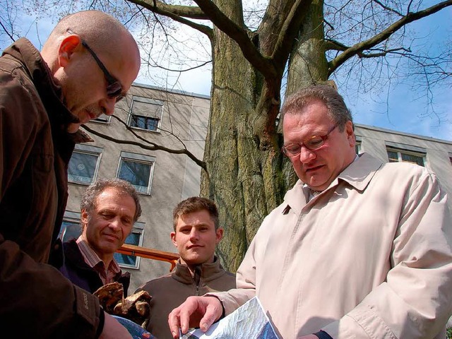 Baumexperte Thomas Herdt (v. l.) mit H...Eckert vor der zu fllenden  Roteiche.  | Foto: Helmut Seller